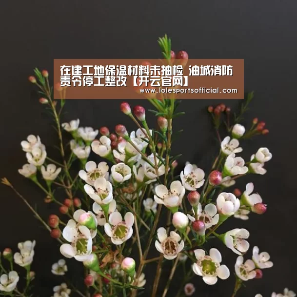 开云